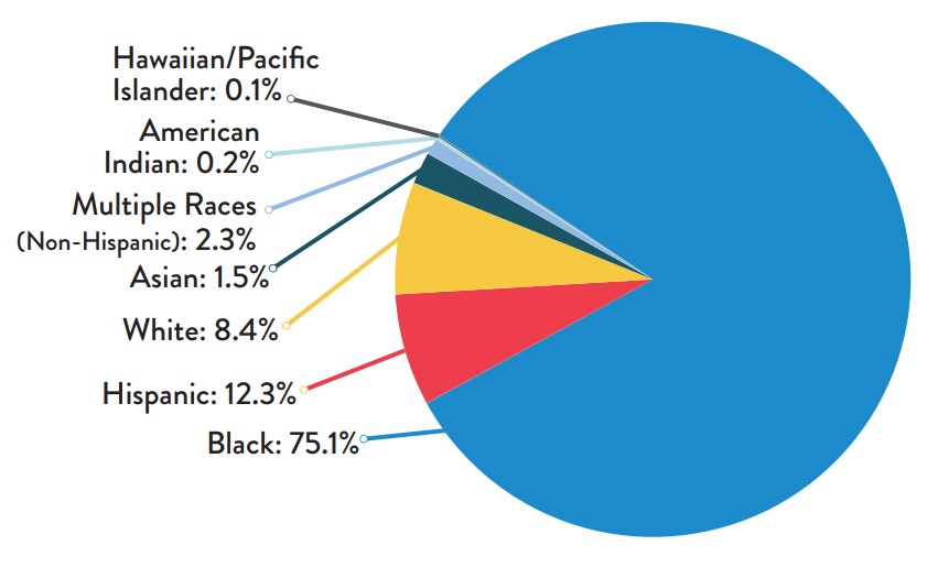 Hawaiian/Pacific Islander: 0.1% American Indian: 0.2% Multiple Races: 1% Asian: 2% White: 7% Hispanic: 7% Black: 82%